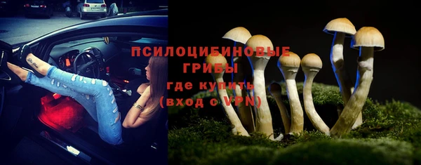 ГАЛЛЮЦИНОГЕННЫЕ ГРИБЫ Покровск
