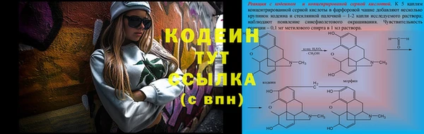 ГАЛЛЮЦИНОГЕННЫЕ ГРИБЫ Покровск