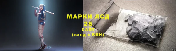 ГАЛЛЮЦИНОГЕННЫЕ ГРИБЫ Покровск