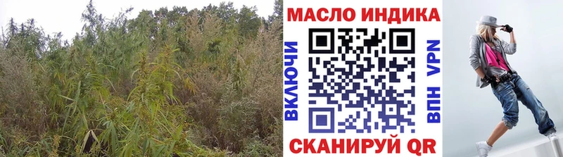 Дистиллят ТГК Wax  сколько стоит  Бежецк 