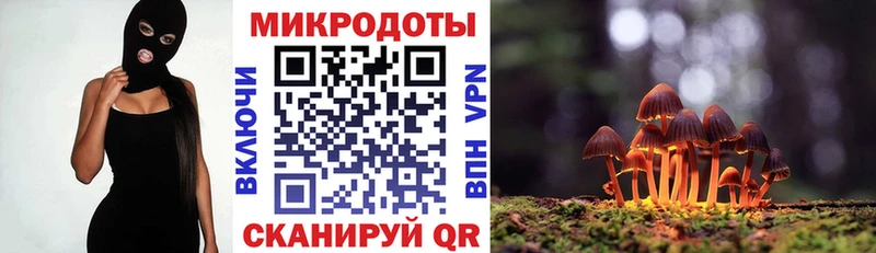 где можно купить   Бежецк  Галлюциногенные грибы мухоморы 