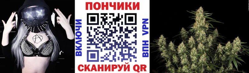omg маркетплейс  Бежецк  МАРИХУАНА Ganja  цена  